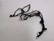 Kabel der vorderen linken Tür NISSAN X-TRAIL (T31) 2.0 dCi 24125JH11A