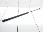 Heckklappe Gasdruckfeder links