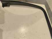 Türverkleidung rechts hinten VW Phaeton (3D) 4858000