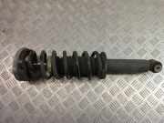 Stoßdämpfer hinten links BMW X3 (F25) xDrive 28 i 33526796317