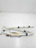 Dach SRS rechts VW GOLF PLUS (5M1, 521) 1.6 TDI 1K9880742E