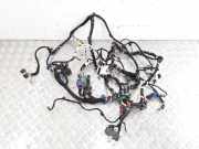 Motor Kabelbaum FIAT CROMA (194_) 1.9 D Multijet 51771172