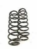 Schraubenfeder hinten links VW GOLF PLUS (5M1, 521) 1.9 TDI RH6788