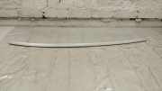 Dachleiste links BMW 6 Cabrio (F12) M6 7979290