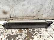 Ladeluftkühler OPEL MERIVA 1.6 Turbo 52415166