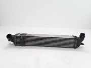 Ladeluftkühler RENAULT LAGUNA III (BT0/1) 2.0 dCi (BT01, BT09, BT12, BT1S) 144960001R