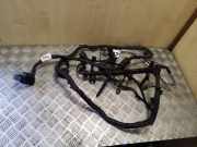 Kabel Motor Audi TT (8J) 8J0971072BD