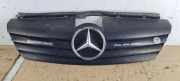 Gitter Grill vorne links MERCEDES-BENZ VANEO (414) 1.7 CDI (414.700) A4148800085