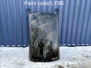 Dach AUDI A6 Avant (4G5, C7, 4GD) 3.0 TDI quattro