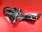 Türinnengriffrahmen hinten rechts JAGUAR XF SPORTBRAKE (X250) 3.0 D 30784205