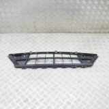 Gitter vorne unten FORD TRANSIT CUSTOM 2.2 TDCi BK21-17K946-AA