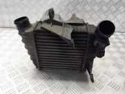 Ladeluftkühler VW Polo IV (9N, 9A) 877655E