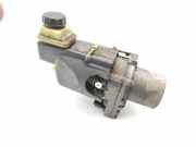 Servopumpe Renault Laguna III (T) 491109313R