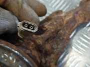 Achsschenkel (ABS) links vorne Opel Zafira B (A05)