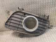 Kühlergrill links Mercedes-Benz A-Klasse (W169) 1698850722