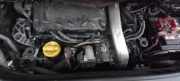 Motor ohne Anbauteile (Diesel) Renault Scenic II (JM)