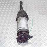 Stoßdämpfer hinten rechts TESLA MODEL S 75 1067466-25-C