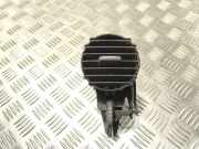 Frischluftgrill RENAULT ESPACE IV (JK0/1_) 2.2 dCi (JK0H) 226471 215108N