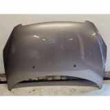 Motorhaube PEUGEOT 307 (3A/C) 1.6 HDi 110