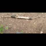 Lenksäule Lancia Phedra (179)