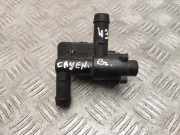 Zirkulationswassermotor