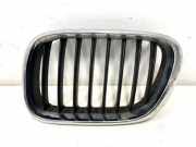 Vorderer oberer Gitter BMW X5 (E53) 4.4 i 8247673