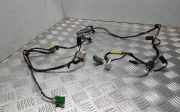 Kabelbaum LAND ROVER RANGE ROVER SPORT (L320) 3.0 D 4x4