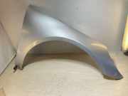 Kotflügel rechts vorne Mercedes-Benz R-Klasse (W251)