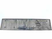 Türverkleidung links Fiat Ducato Kasten (250) 1308058070