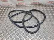 Türgummi links vorne Audi A8 (4D, D2) 4E04837833912