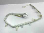 SRS Modul Dach links CITROËN C8 (EA_, EB_) 2.0 HDi 10001613