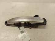 Türgriff links Ford C-Max ()