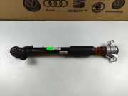Stoßdämpfer hinten links AUDI A5 (F53) 2.0 TDI quattro 8F0513026A