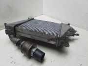 Ladeluftkühler NISSAN X-TRAIL (T30) 2.2 dCi 4x4 D2052B17
