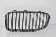 Gitter Grill vorne links BMW 5 (F10) 520 d 7203649 7200727