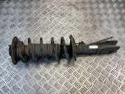 Stoßdämpfer vorne links CHEVROLET CAPTIVA (C100, C140) 2.0 D 4WD SA010B003