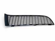 Gitter vorne unten BMW 7 (F01, F02) 750 i xDrive 72758411