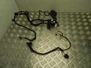 Kabel der vorderen linken Tür