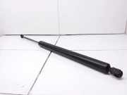 Heckklappe Gasdruckfeder links