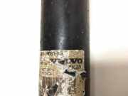 Stoßdämpfer hinten links