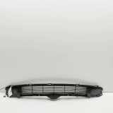 Gitter vorne unten TESLA MODEL 3 EV Performance AWD 1493759-00-A