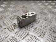 A/C Conditioner Expansion Valve NISSAN QASHQAI / QASHQAI +2 I (J10, JJ10) 1.5 dCi 10a00