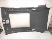 Dachverkleidung BMW X5 (E70) 3.0 d 205752PB