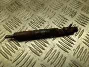 Düsenstöcke Ford Focus (DAW, DBW) 1S4Q9F593AF