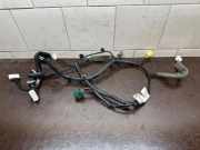 Kabel der vorderen linken Tür RENAULT KOLEOS II 2.0 dCi 175 4WD 241240384R