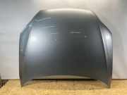 Motorhaube AUDI Q7 (4L) 3.0 TDI quattro 4L0823029A