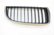 Vorderer oberer Gitter BMW 3 (E90) 320 d 7120008