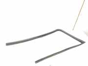 Türgummi rechts hinten Nissan Pathfinder III (R51)