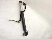 Heckklappendämpfer rechts Volvo XC60 II (246) 31299317