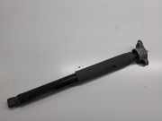 Stoßdämpfer rechts hinten Ford Kuga II (DM2) CV6118080ABB